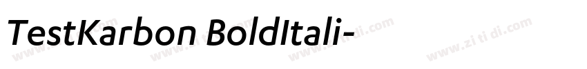 TestKarbon BoldItali字体转换 TestKarbon BoldItali字体转换